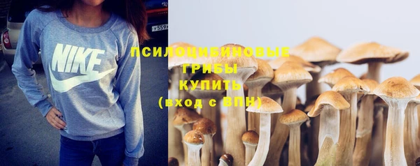 PSILOCYBIN Няндома