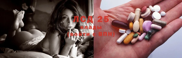 стафф Осташков