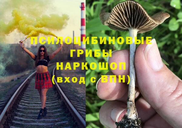 PSILOCYBIN Няндома