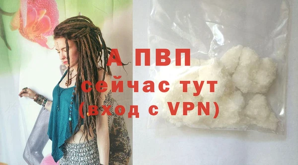 PSILOCYBIN Няндома