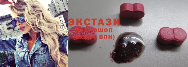PSILOCYBIN Няндома