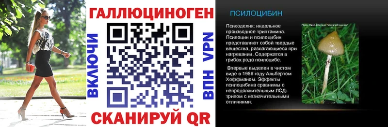 Псилоцибиновые грибы Cubensis  Купить  Михайловск 